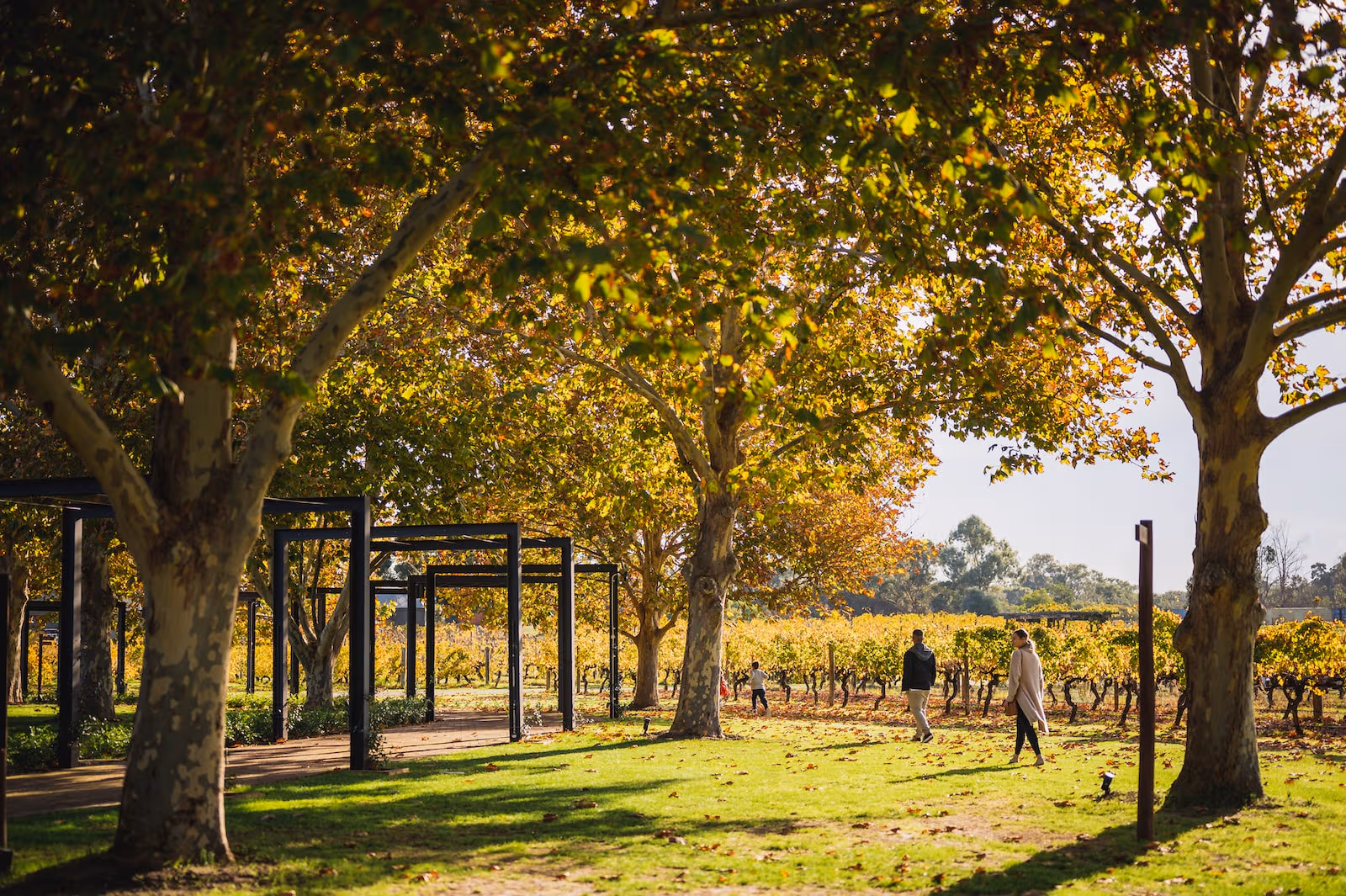 Lancaster cellar door with wine barrels and visitors, Swan Valley WA