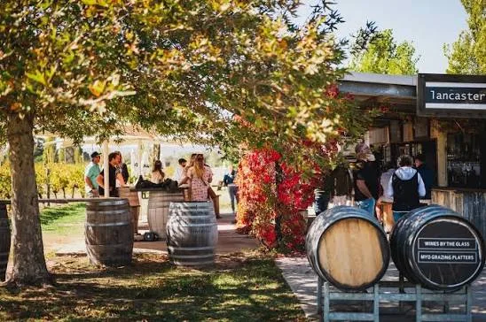 Swan Valley winery cellar door with vineyard views, Swan Valley WA
